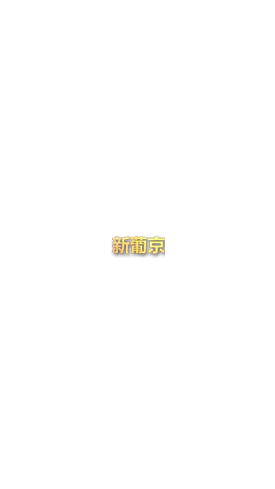 海滨嘉年华：开启盛夏狂欢的梦幻之旅